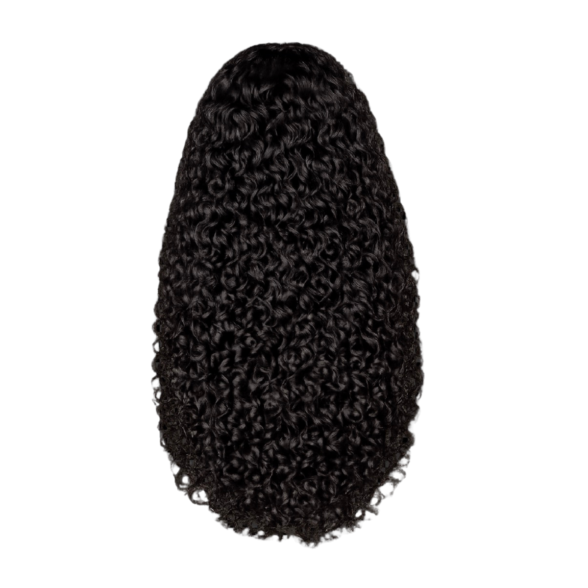 Kinky Curly Wig